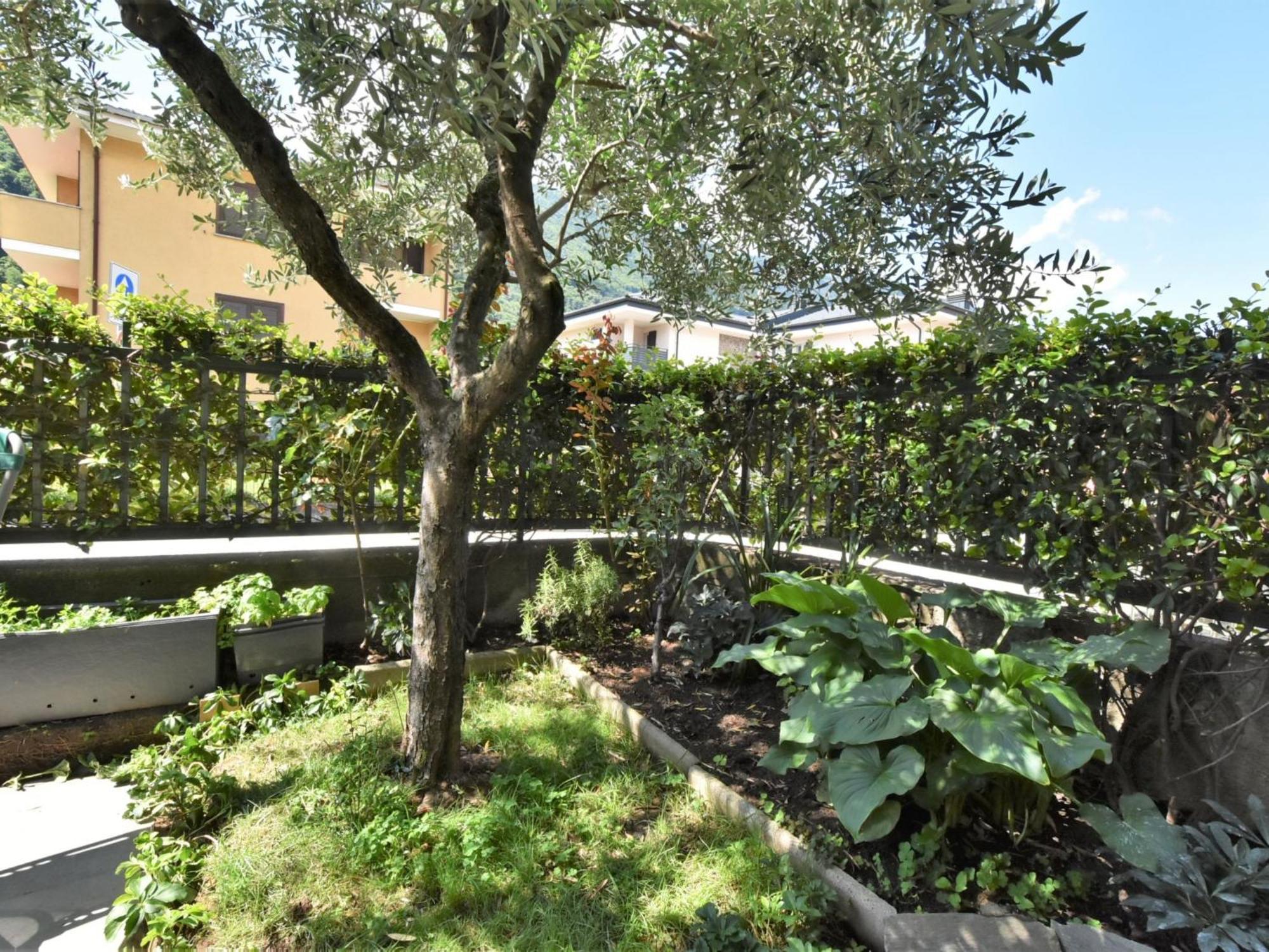 Apartment La Casa Di Lara By Interhome Morbegno Exterior photo